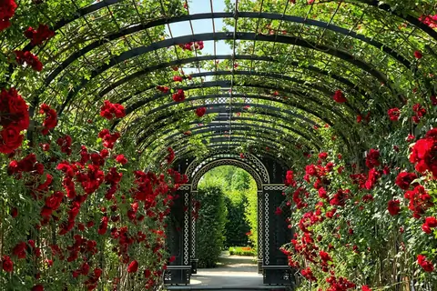elagage-hainaut-brabant-belgique-entretien-jardin