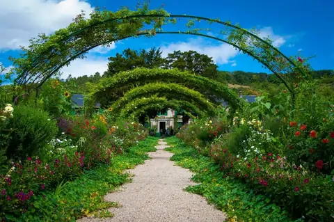 elagage-hainaut-brabant-belgique-entretien-jardin-2