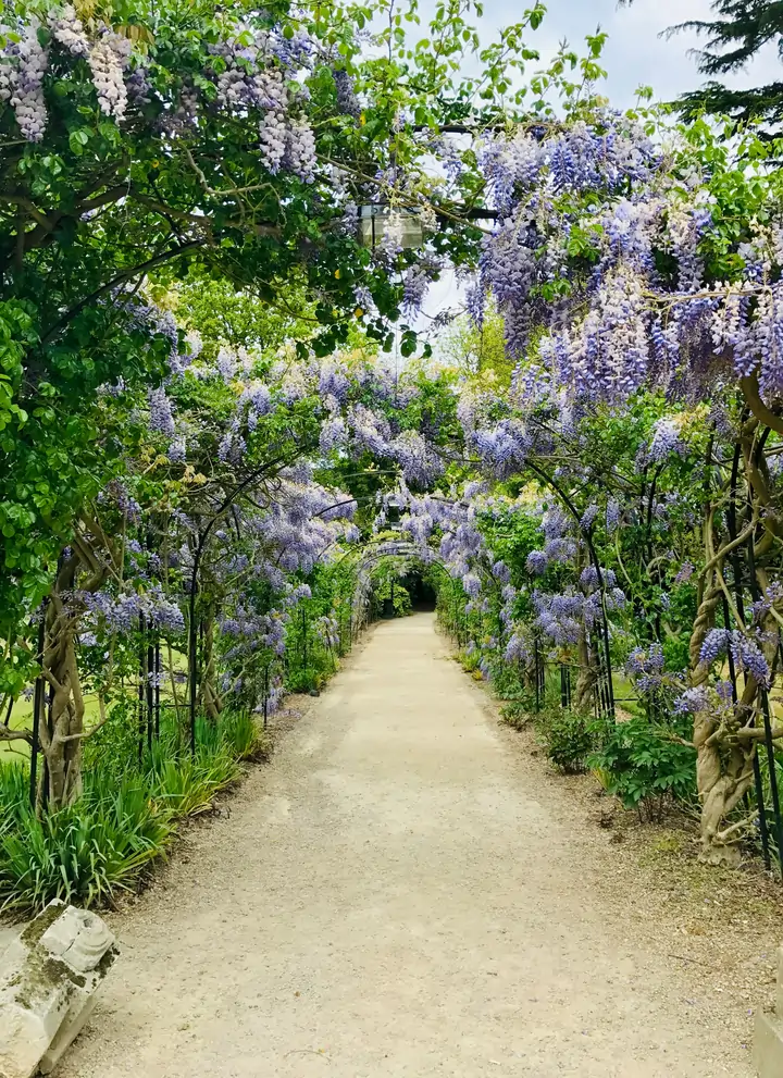 elagage-hainaut-brabant-belgique-entretien-jardin