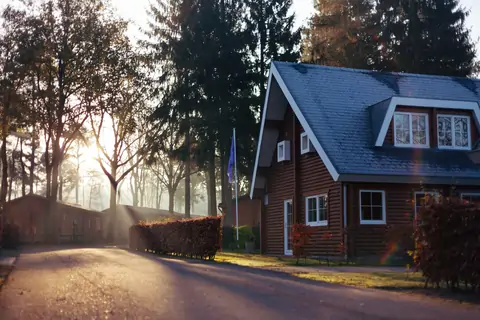 elagage-hainaut-brabant-belgique-liege